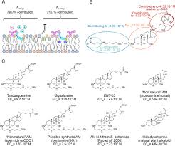 Image result for Malouetia bequaertiana