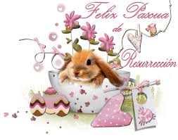 Por ello, la pascua constituye la fiesta central de la religión cristiana al ser sinónimo de alegría, luz y esperanza entre los fieles católicos. Imagenes Con Frases Cristianas Del Domingo De Resureccion Para Pascua Informacion Imagenes