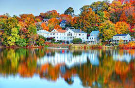 15,019 House With Fall Leaves Stock Photos, Pictures & Royalty-Free Images - iStock