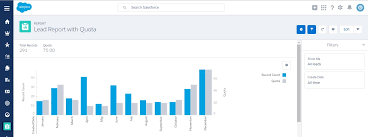 target reports using custom summary formula fields