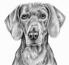 See more of imagenes chidas free fire on facebook. Tecnicas Para Dibujar A Lapiz Para Android Apk Descargar