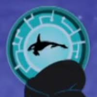 Orca Power Orca Save The Elephants Largest Shark