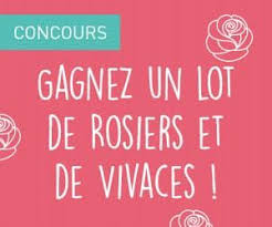 Les Legumes Pour Paresseux Ils Donnent Sans Aucun Entretien Comment Planter Des Tomates Comment Planter Vivaces