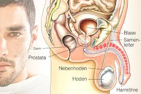 Wobenzym da prostata auf bewährte hausmittel und pflanzliche präparate zurückgreifen, um. Prostata Vergrossert Naturheilmittel Operacion Prostata Vergrossert