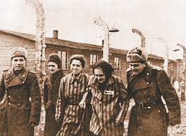 Image result for holocaust photos