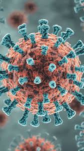 هل سمعت عن المتحور الجديد H3N2؟... أعراضه مفاجئة، لكن الوقاية أسهل من ما تتخيل! اكتشف كيف تحمي نفسك الآن! د. أسامة أحمد عطية اختصاصي أول طب العائلة Heard about the new H3N2