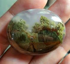 Polished Moss Agate From Indonesia Amazing Geologist Minerals And Gemstones Rocks And Gems Crystals And Gemstones