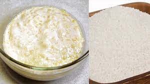 Cassava (manihot esculenta crantz) is a type of plant that produces a starchy. Health Benefits Of Tapioca Properties Nutrients Preparation Naijaxtreme