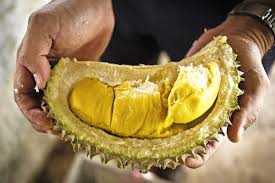 Then you'll love this name on. Fruits During Pregnancy Can Pregnant Women Eat Durian