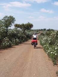 Einfach Ein Traum Im Fruhjahr Durch Das Alentejo In Portugal Radln Abseits Ausgetretener Pfade Ist Man Von Bluhend Fahrradreisen Portugal Abenteuer
