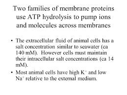 Membrane Protein Pumps Learning Objectives You Should Be Able To Understand Discuss Active Transport Na K Atpase Abc Transporters Metabolite Ppt Download
