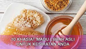 Proses pembuatan madu oleh lebah #lebah #madu #tahukahkamu tauhkah kamu. 10 Khasiat Madu Lebah Asli Untuk Kesihatan