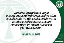 Kapasite raporu'nun tanım ve kapsamı kapasite raporu; Orman Muhendisleri Odasi Orman Endustri Muhendisleri Ve Agac Isleri Endustri Muhendislerinin Yetki Ve Gorevleri Ile Karsilasilan Problemler Ve Cozum Onerileri Calistayi Raporu 16 Aralik 2018 Orman Muhendisleri Odasi