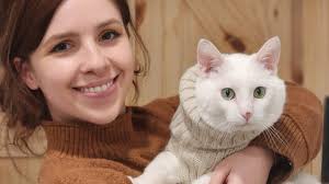 Wired Whisker Cat Café, Duluth's first cat-adoption coffee shop, opening  later this year