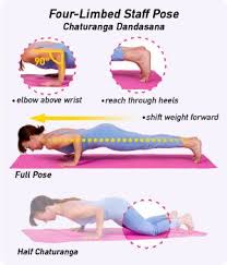 Chaturanga Is A Challenging Pose That S An Essential Part Of Ashtanga Vinyasa And Power Yoga Read This Guide For D Yoga Chaturanga Yoga Asanas Ashtanga Yoga