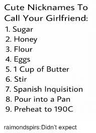 Cute Nicknames To Call Your Girlfriend 1 Sugar 2 Honey 3 Flour 4 Eggs 5 1 Cup Of Butter 6 Stir 7 Spanish Inquisition 8 Pour Into A Pan 9 Preheat To 190c Raimondspirsdidn T Expect Cute Meme On Me Me