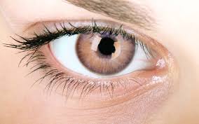 Thompkins, fitz lee, dennis bell, and george wanton voluntarily went ashore in the face enemy fire to rescue wounded u.s. How To Say Brown Eyes In Spanish What Is The Meaning Of Ojos Marrones Ouino