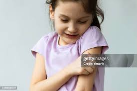 14,382 Mosiquitoe Stock Photos, High-Res Pictures, and Images