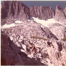 Image result for Desert Tan 1972 Hussmann