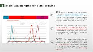 Best light spectrum for growing plants. Important The Best Plant Light Spectrum For Growing Plants