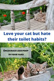 We did not find results for: Ways To Stop Cats From Pooping In Your Garden Homegrown Herb Garden