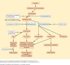 Chapter 36 Nsaids Acetaminophen Drugs Used In