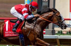 Free Past Performances For Saturday S Kentucky Derby 2019 Preps