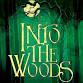 Into the Woods event in Durango, CO