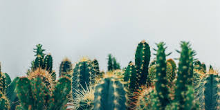What do you mean by the term 'environment'? How The Linkedin Algorithm Works And How To Make It Work For You