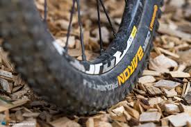 the review the continental baron 2 4 projekt tyres enduro mountainbike magazine