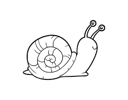 Desenho De Um Caracol Para Colorir Colorir Com
