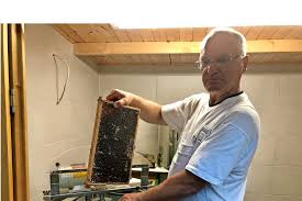 Honig ist eines der gesündesten und natürlichsten lebensmittel und wird auch als „flüssiges gold um den honig von der wabe auf unser brot zu bringen, braucht es erfahrung und liebe zum. Bienenfreunde Schleudern Ersten Honig Des Jahres