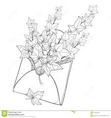 Collection de claudine lucas • dernière mise à jour il y a 10 semaines. Dirigez Le Groupe De Vignes De Lierre Ou De Hedera D Ensemble Dans L Enveloppe Ouverte De Metier Feuilles Fleuries Du Lierre Dans Illustration De Vecteur Illustration Du Lame Livre 123658686