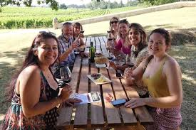 Here the diversity of terroirs, the whims of the climate and the personality of each winegrower produce a myriad of nuances and subtle distinctions so that every visitor can find his or her favourite wine … and the unexpected emotions that go with it. Saint Emilion Wine And Food Tour With Tastings From Bordeaux 2021
