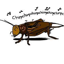 Mole Cricket Spain Sound Effects Meme Soundboard Voicy Network