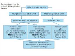Herpes results from infection with the herpes simplex virus (hsv). Pediatric Hsv Epithelial Keratitis Prezentaciya Onlajn