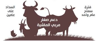 100 ألف ريال قرض لصغار مربي الماشية المدينة