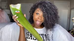 Home hair hair cream aloe vera hair cream. Best Pre Poo Routine For Fast Natural Hair Growth Using Homemade Aloe Vera Detangler African American Hairstyle Videos Aahv