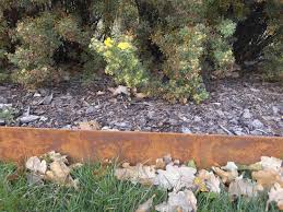 Rasenkante Corten Stahl Edelrost Mahkante Metall Beeteinfassung Edelrost Rostig Amazon De Garten In 2020 Beeteinfassung Rasenkanten Edelrost