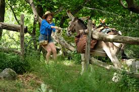 On voit d'ailleurs l'une de ses actrices fétiches, marie rivière, au début du film. Antoinette Dans Les Cevennes 2020 Imdb