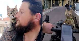 Cyclist Travels The World With Cat He Found