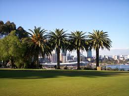Kings Park Perth Australia I Love This City Western Australia Travel Kings Park Perth Kings Park