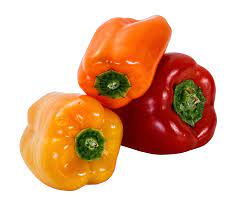 Bell Pepper Png Image Stuffed Peppers Stuffed Bell Peppers Stuffed Sweet Peppers