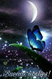 Para Dar Las Buenas Noches Http Videowhatsapp Net Para Dar Las Buenas Noches 397 Html Vwhatsapp Noches Nature Images Hd Nature Images Butterfly Wallpaper