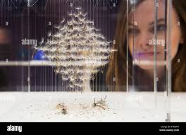 Art chapman brothers hi-res stock photography and images