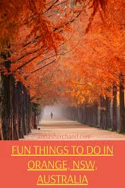 Fun Things To Do In Orange Nsw Secret Ones Included Anna Sherchand Fun Things To Do Oceania Travel Australia Travel