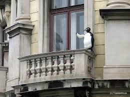 A Penguin In Vienna Wien