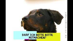 #bauersuchtfrau #uweundiris #liebe #tv #stars. Hundezentrum Hoffmann Mantrailing More