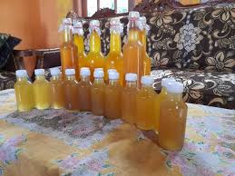 I jual madu asli fresh dari ladang baru sampai•madu asli •madu kelulut •madu royal jelly. Desa Lolong Punya Madu Lebah Asli Lebah Madu Buah