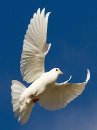 Grissom's Chapel & Mortuary Inc.